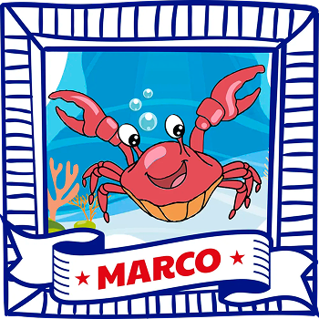 imagen de marco
